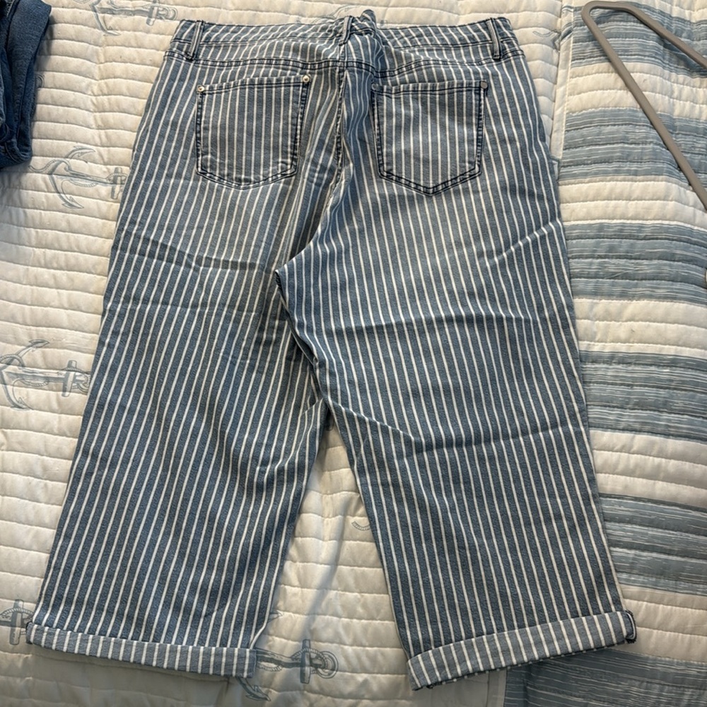 Gloria Vanderbilt Rail Straight Stripe Capri Pants - Picture 2 of 4